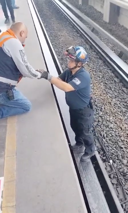 Sano y salvo quedó el pajarito en la estación Bosques de Aragón.