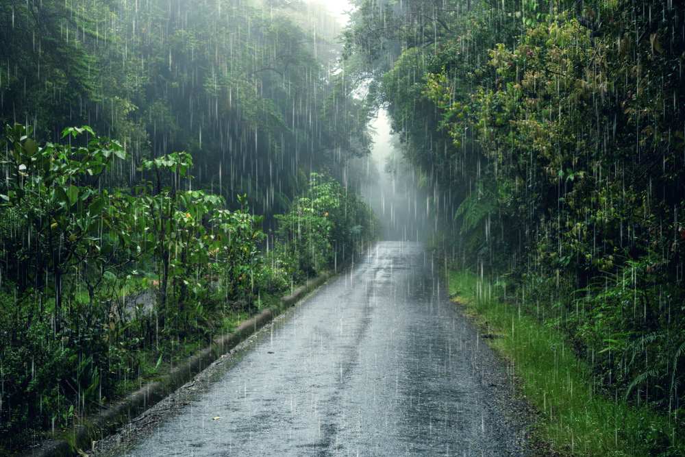 La lluvia será por intervalos en el sur del país.