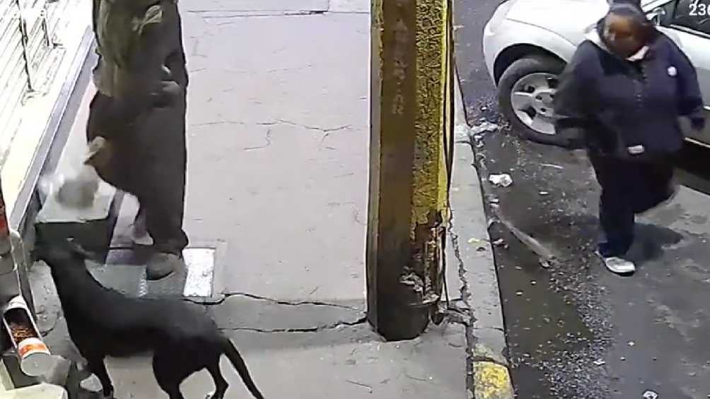 De pronto se ve al señor llegar y asustar al perro para cometer su robo. 