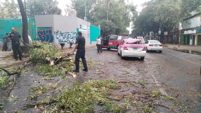 Elementos de Protección Civil actuaron de imediato.