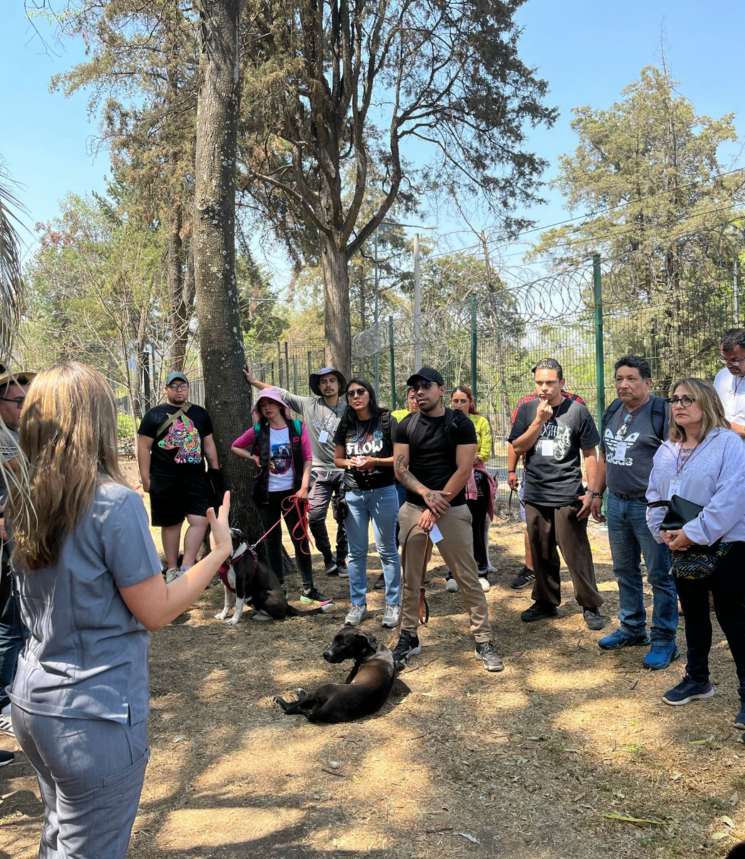 Los paseadores son capacitados por especialistas de control animal.