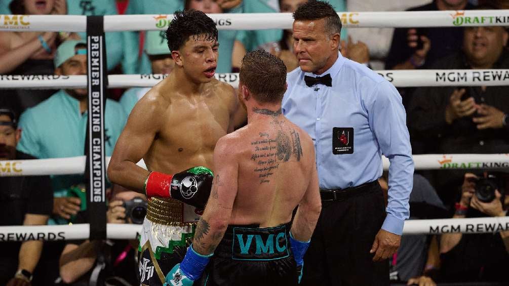 Canelo en su último combate