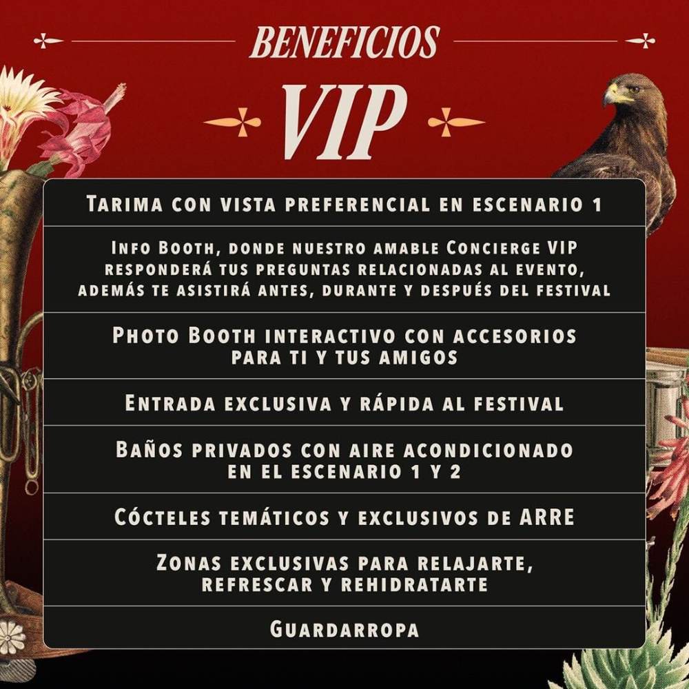 Conoce los beneficios de comprar tu entrada VIP y valora si vale la pena.