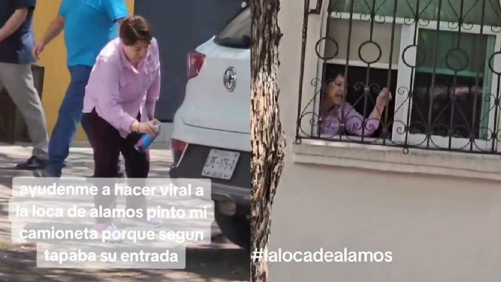 La mujer afectada dice que busca demandar a la señora que pintó su vehículo. 