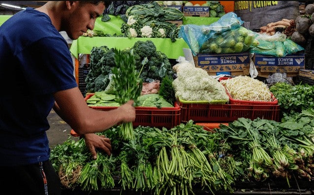 Costo del cilantro deja sin sabor a los tacos de CDMX