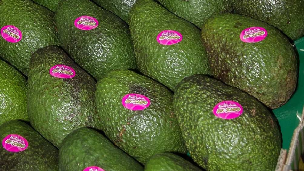 El aguacate es un alimento altamente consumido por los estadounidenses. 