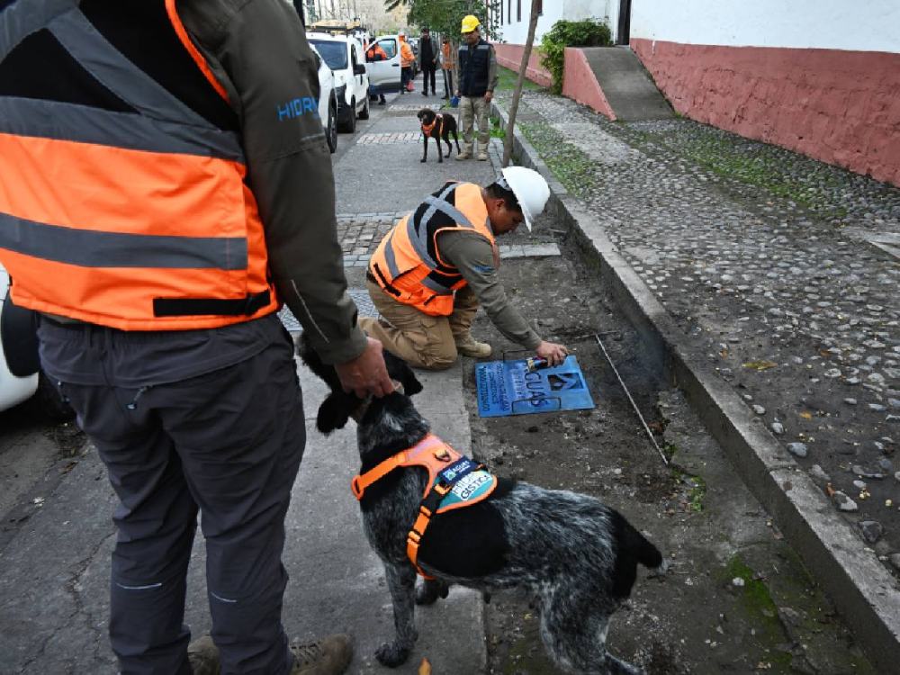 Su entrenamiento duró tres años y lleva ochos meses trabajando en forma.