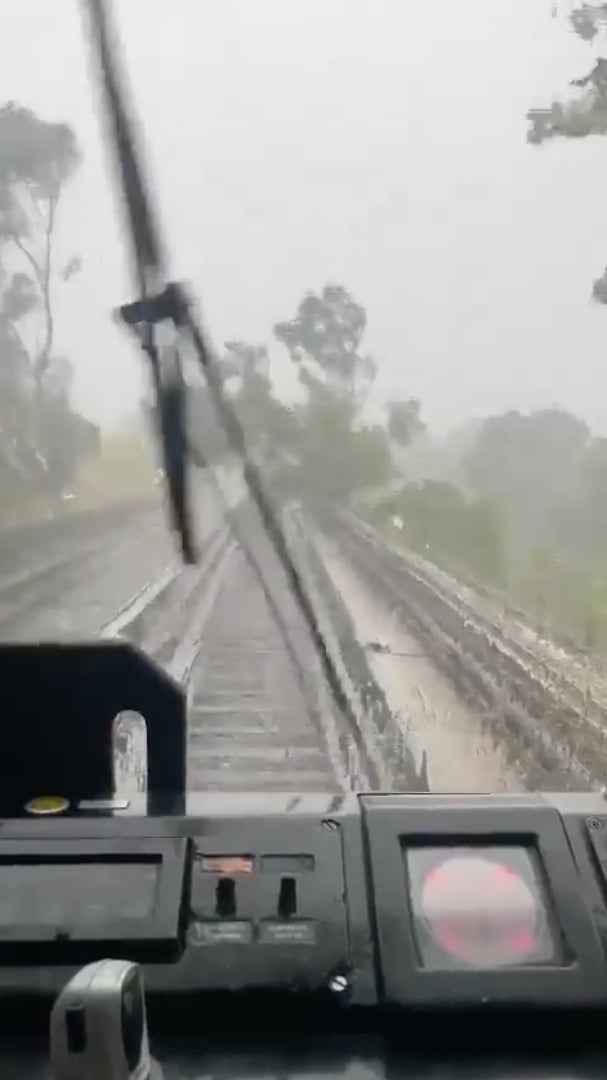 El viento hizo que un árbol cayera en las vías del Metro.