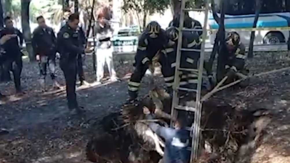 La mascota fue rescatada por vecinos, policías y bomberos. 