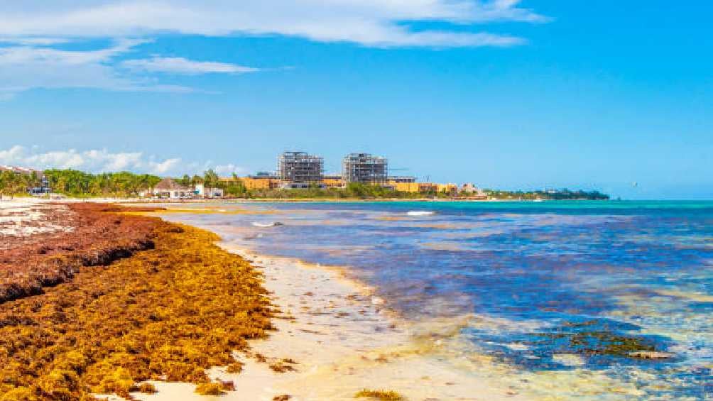 Estas playas contaminadas representan un riesgo para la salud de turistas. 