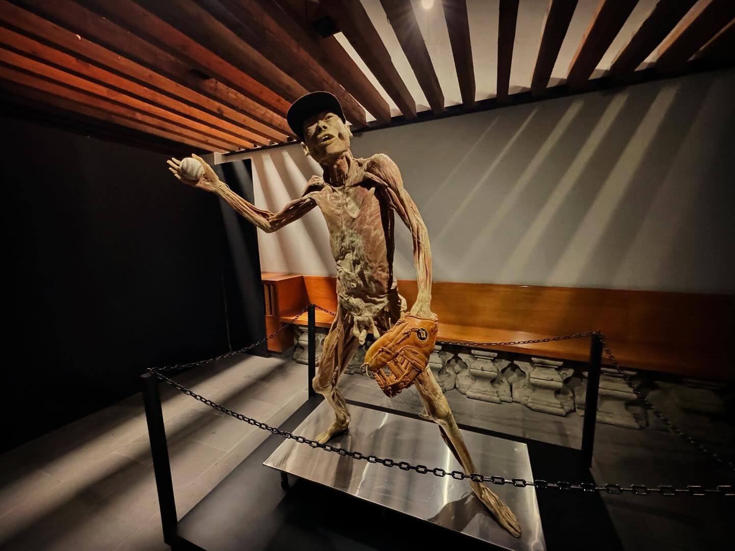 La expo muestra el cuerpo humano por dentro y sin filtros.