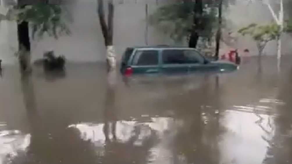 Hubo vehículos que quedaron casi cubiertos. 