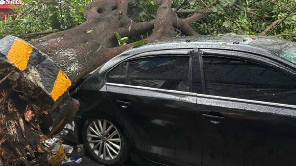 Había personas dentro del auto afectado. 