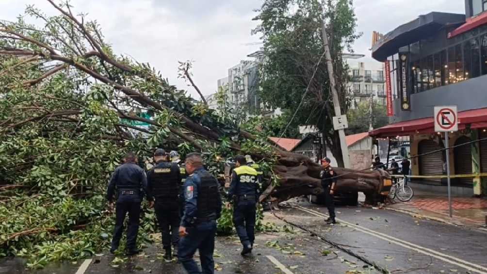 Equipos de emergencia llegaron hasta el lugar del incidente. 