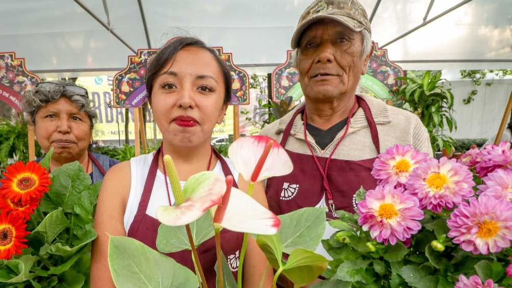 Productores ofrecerán sus plantas a los mejores precios. 