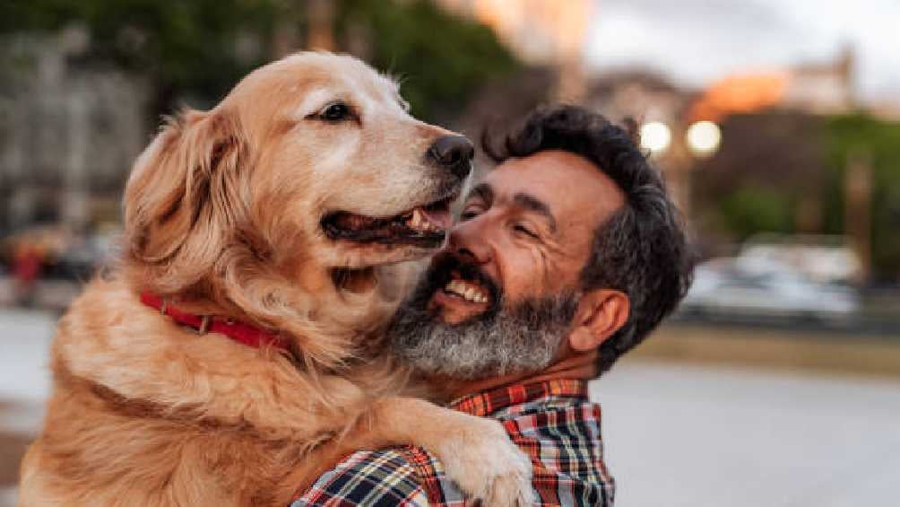 Los perros ahora tienen una opción para estar perfumados. 