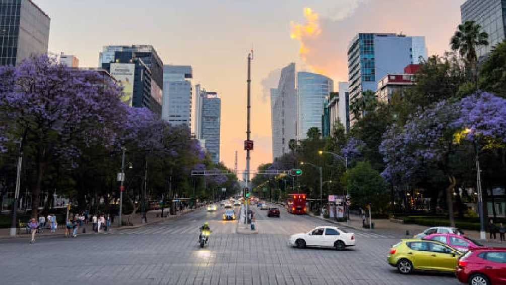 La licencia de conducir es obligatoria para cualquier automovilista. 