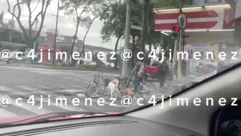 El video fue grabado en las calles de la alcaldía Coyoacán. 