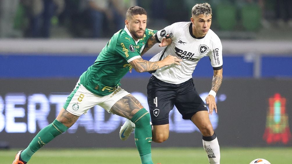 Imágenes del Botafogo vs Palmeiras