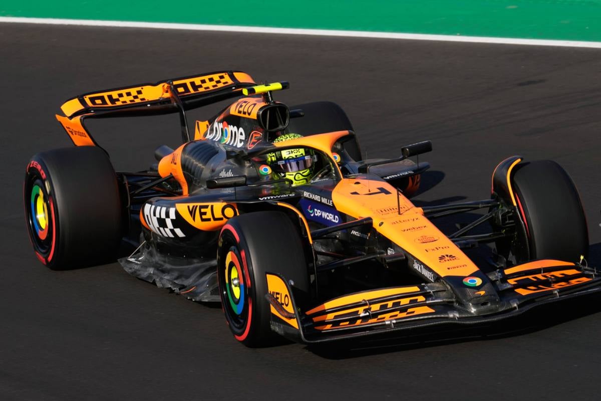 Lando Norris ha podido desafiar a Verstappen este año 