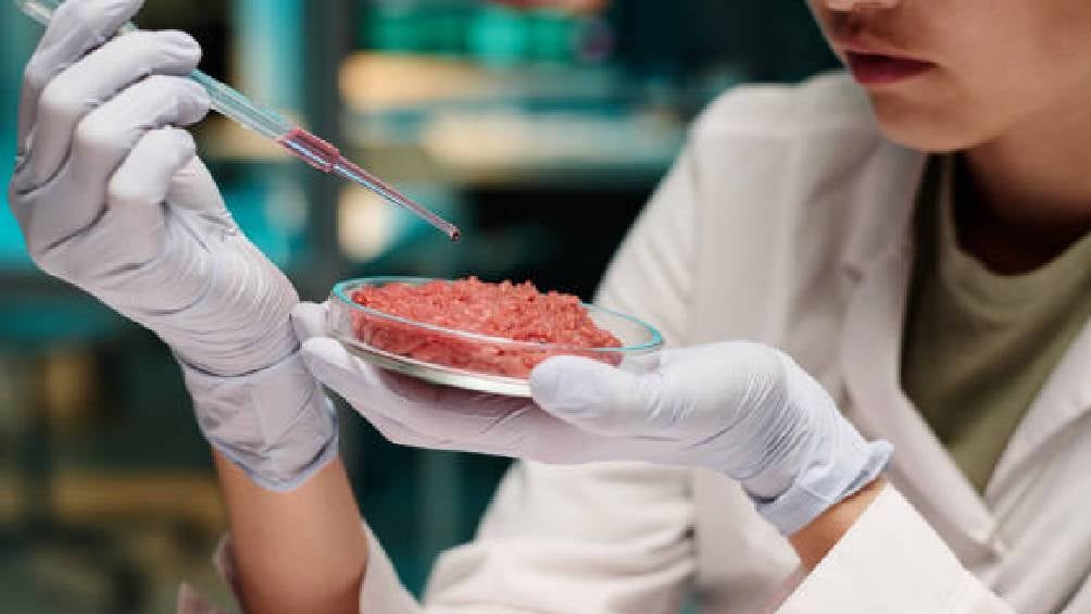 La evidencia científica indica que el consumo habitual de carne procesada puede incrementar el riesgo de cáncer.