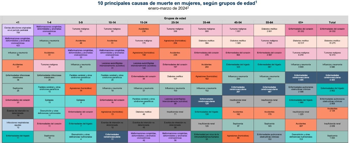 INEGI presenta la tabla de motivos de muertes en mujeres.