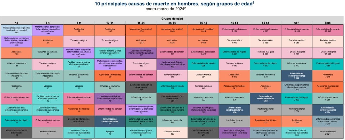 INEGI presenta la tabla de motivos de muertes en hombres.