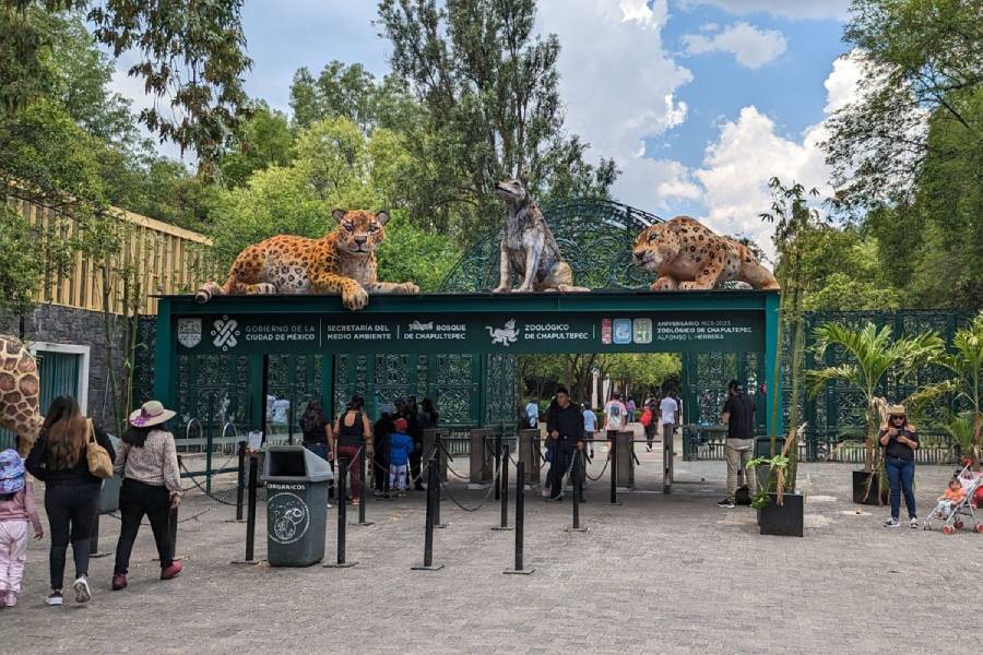 La dirección del Zoológico de Chapultepec no ha dicho nada al respecto.