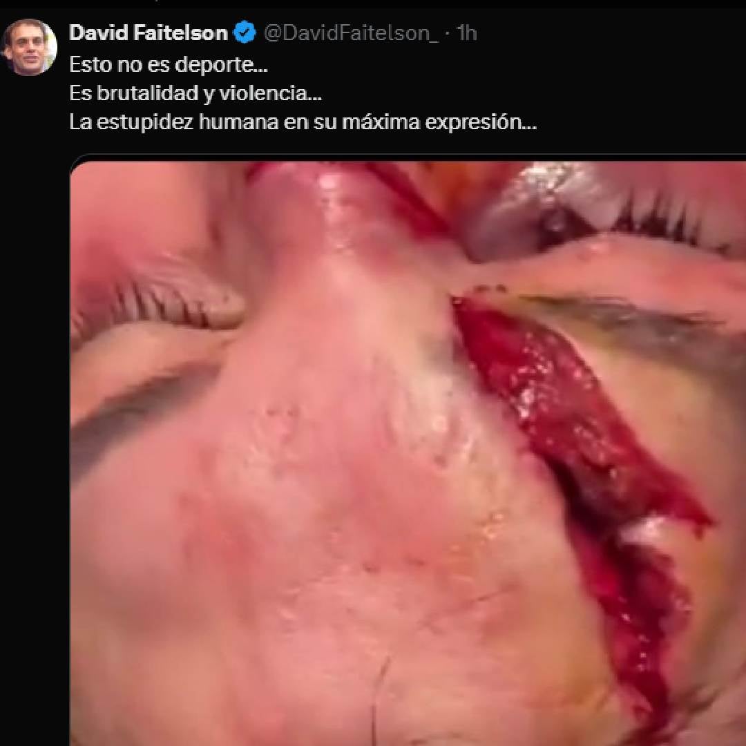 Dvaid Faitelson 