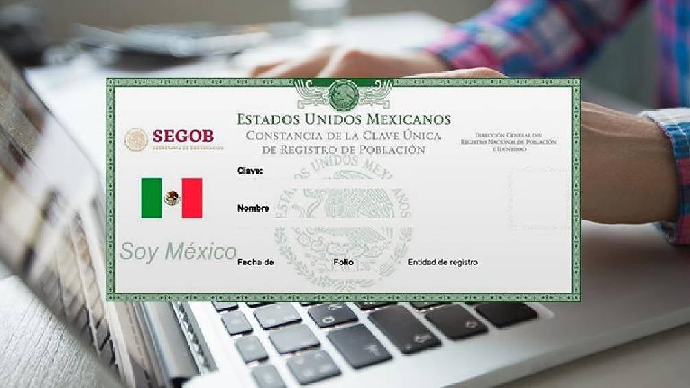 Si la CURP está certificada, se mostrará la leyenda "CURP certificada verificada por el Registro Civil" debajo del cuadro de información. 