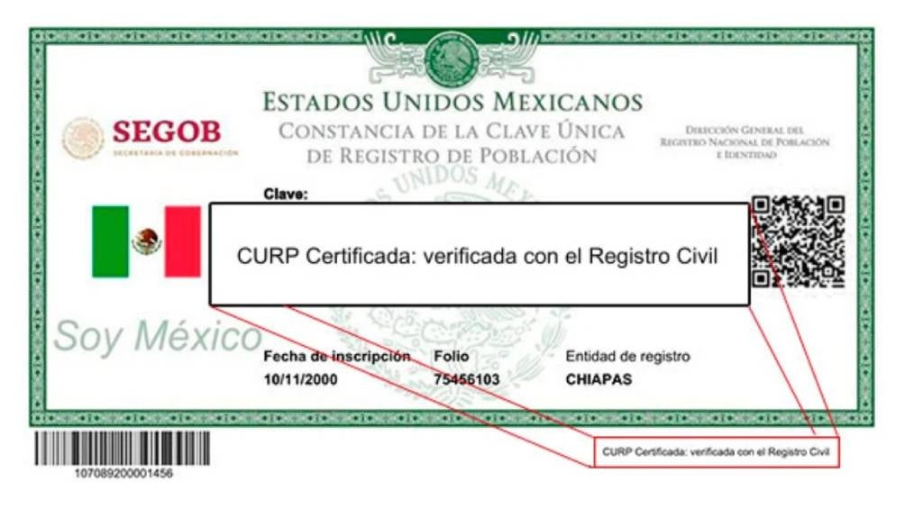 La Clave Única de Registro de Población (CURP) es un documento esencial para los mexicanos, otorgado al nacer, que sirve como identificación.