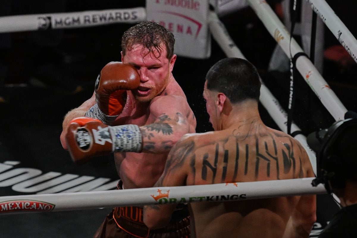 Canelo in combat 