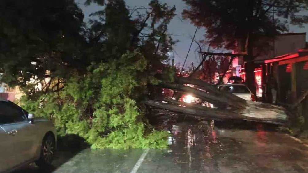 Las lluvias provocaron inundaciones, caídas de arboles y deslaves. 