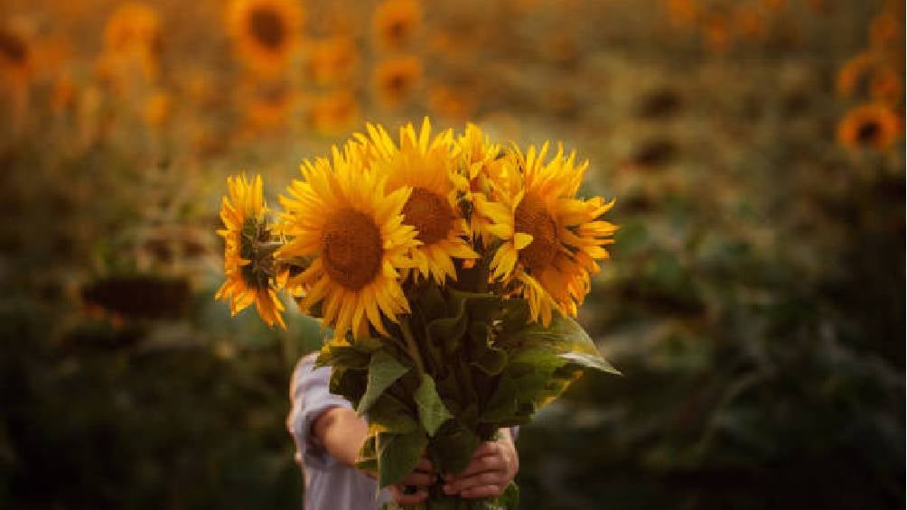 Las flores amarillas simbolizan amistad, alegría.