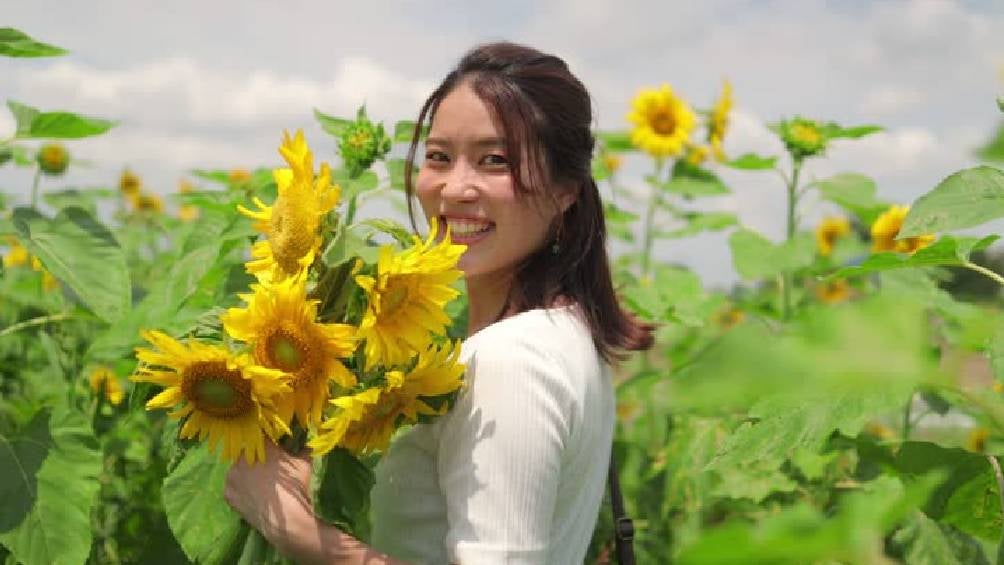 En los últimos años, regalar flores amarillas se ha convertido en una tradición.