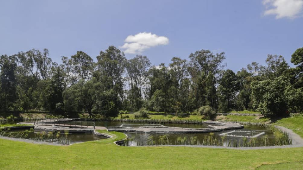 El Ayuntamiento de Puebla, bajo la dirección de Adán Domínguez Sánchez, ha finalizado la rehabilitación de la segunda etapa del Bosque del Ajolote.