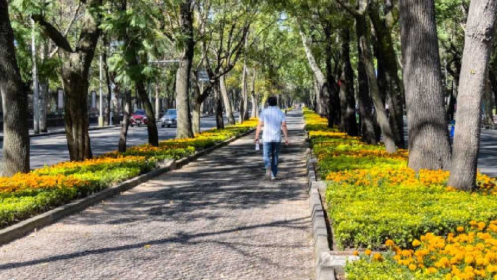 En el Otoño la temperatura desciende y las noches son más largas que los días. 