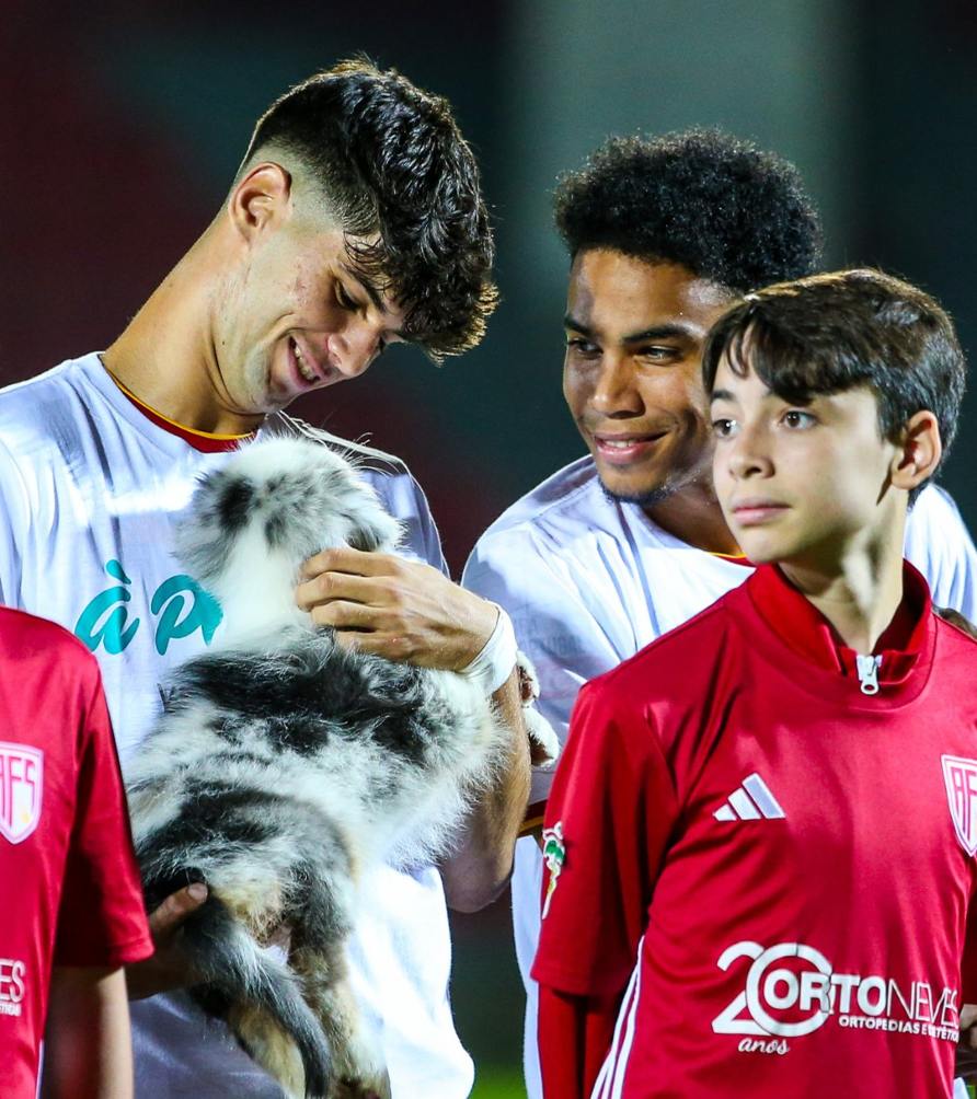 AVS Futebol de Portugal con perritos