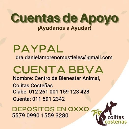 Cuentas de apoyo para donar