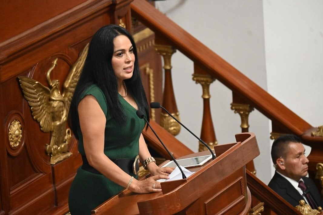 La diputada Silvia Sánchez Barrios propuso la iniciativa ante el Congreso de la CDMX.