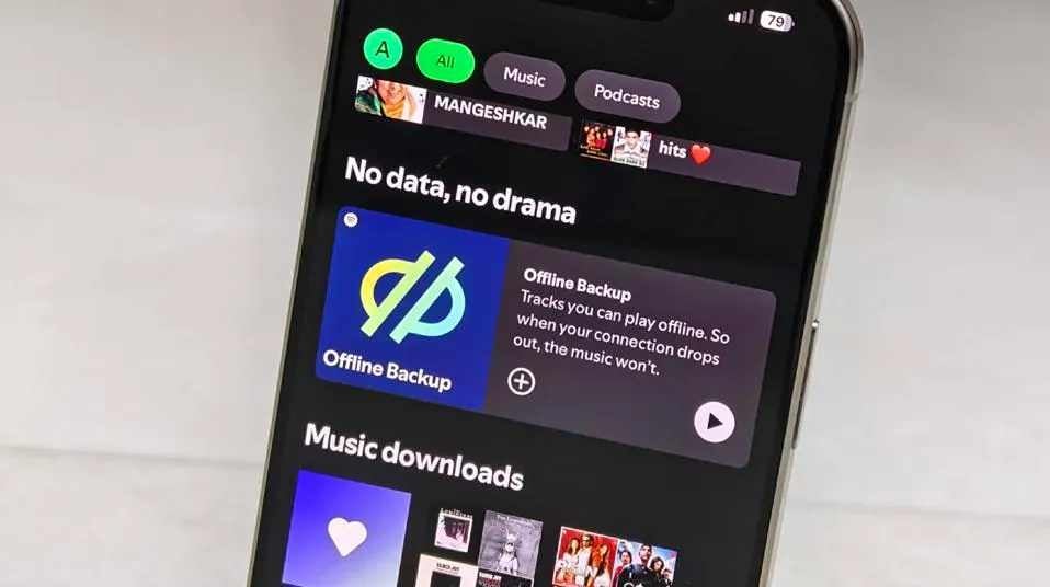 Spotify Offline Backup