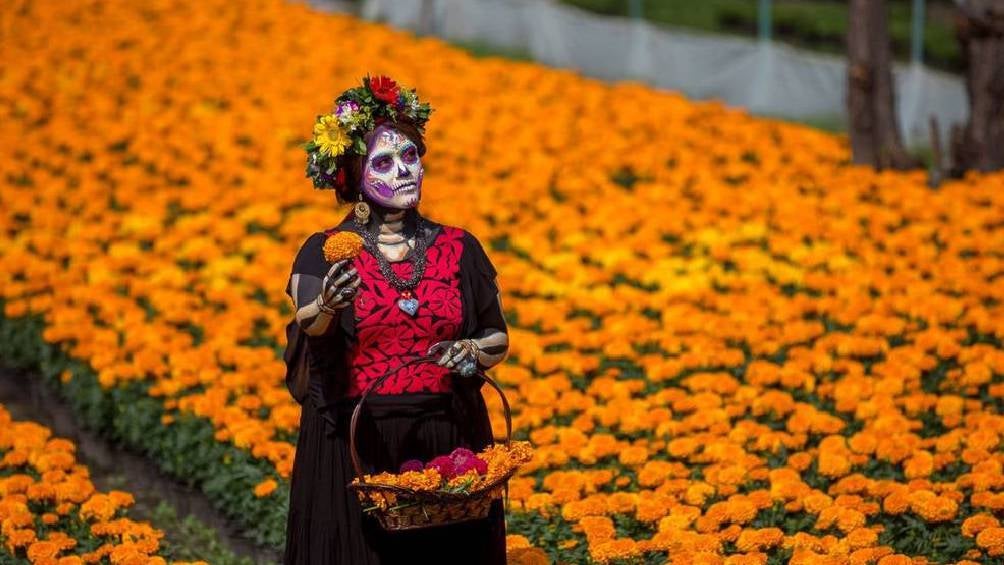 Xochimilco ofrece diferentes actividades para estas fechas especiales. 