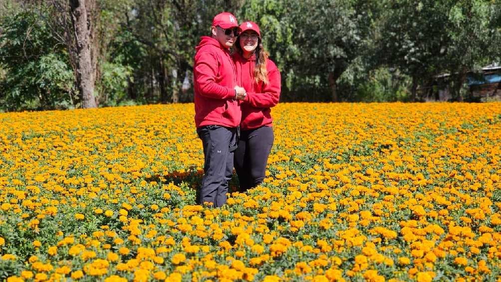 Las flores de cempasúchil es toda una tradición de la época de Día de Muertos. 