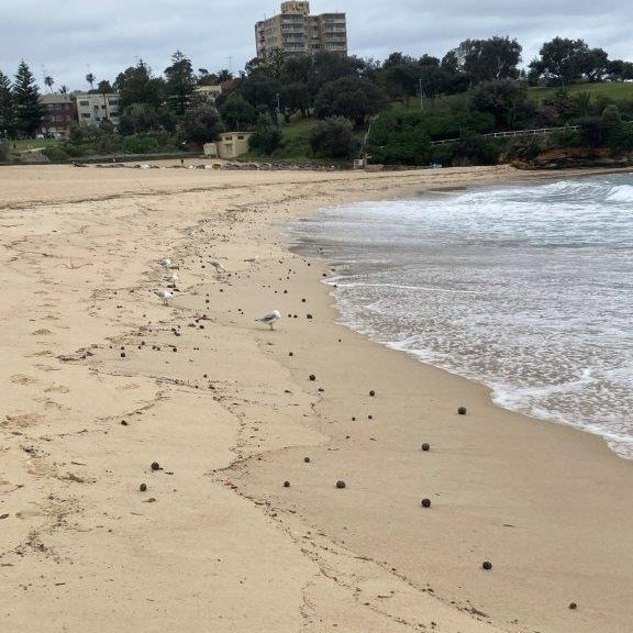 Las pelotas negras están tanto en la arena como en el mar.