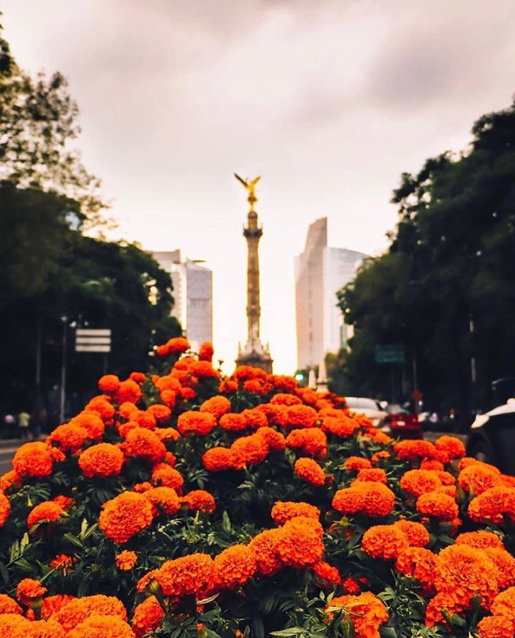 Paseo de la Reforma