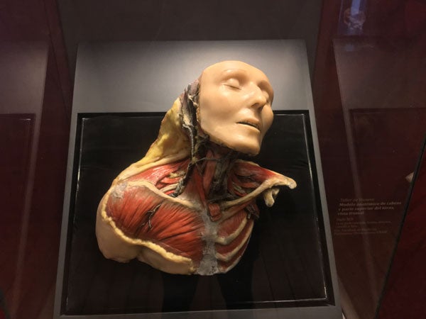 La UNAM te trae lo mejor de la medicina y el terror juntas en un museo