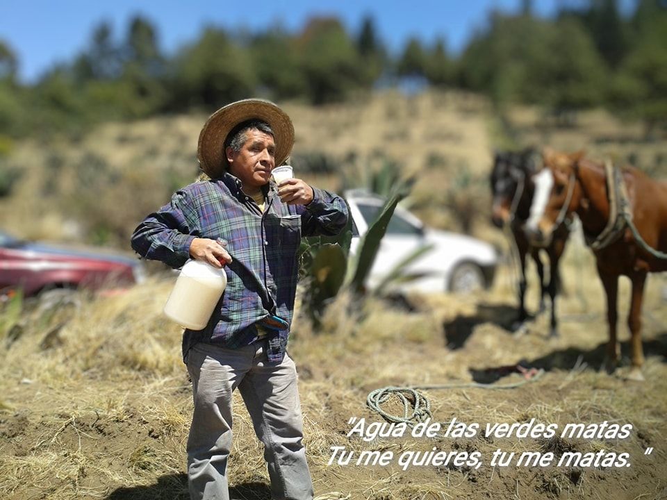 Se pide a los asistentes llevar su jarro para el pulque.