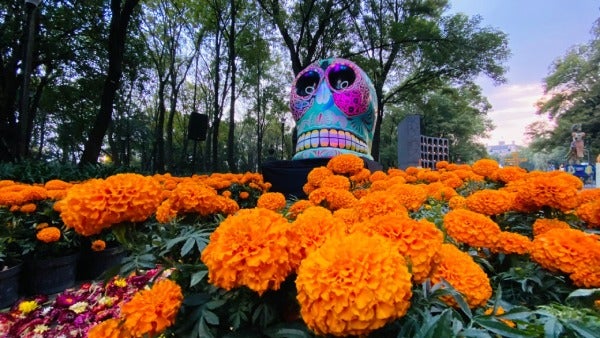 Bosque de Chapultepec tendrá noche terrorífica