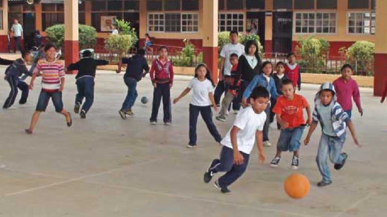 También se fomentará el deporte y la activación física entre los estudiantes. 