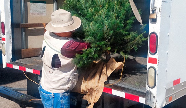 Los inspectores estarán en busca de plagas para cuidar los ecosistemas.